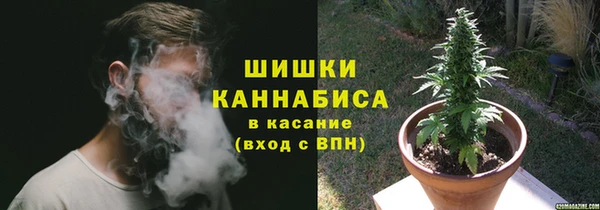 соль курить ск Заводоуковск