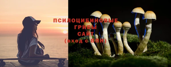 соль курить ск Заводоуковск