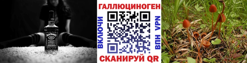 сайты даркнета какой сайт  мега зеркало  Псилоцибиновые грибы прущие грибы  Ессентуки  где найти наркотики 